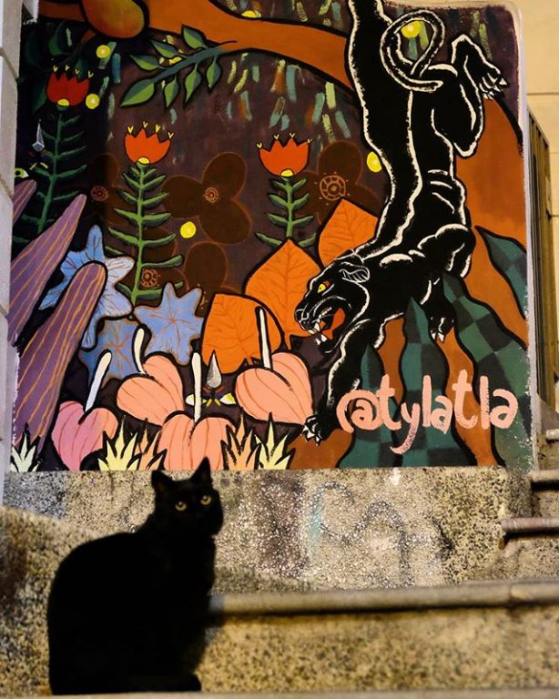 #ёжкинкот #hedgecat #ежкинкот #кругосветка #rtw #вокругсвета #travel…