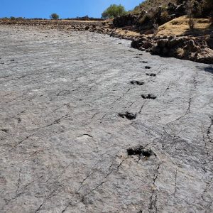 Следы динозавтов, Трекинг по кратеру Марагуа, Боливия