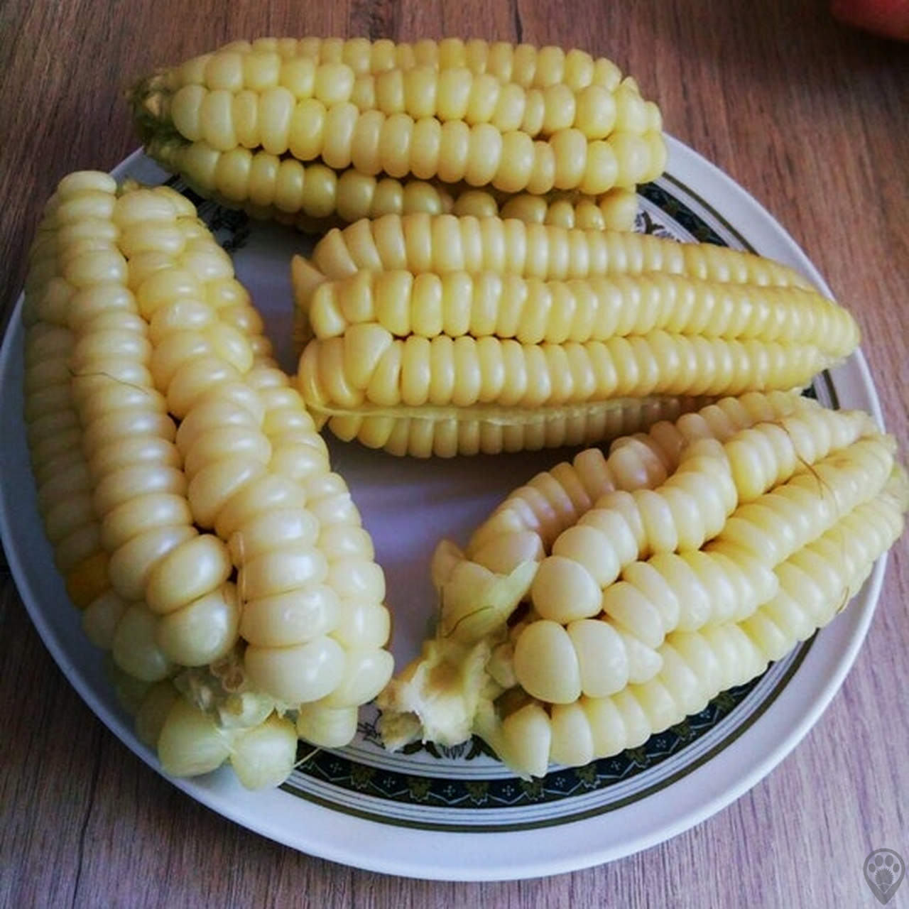 Перуанская крупнозерновая кукуруза