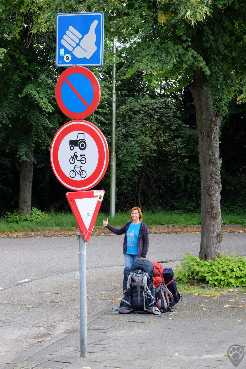 Специальный знак автостопа в Голландии