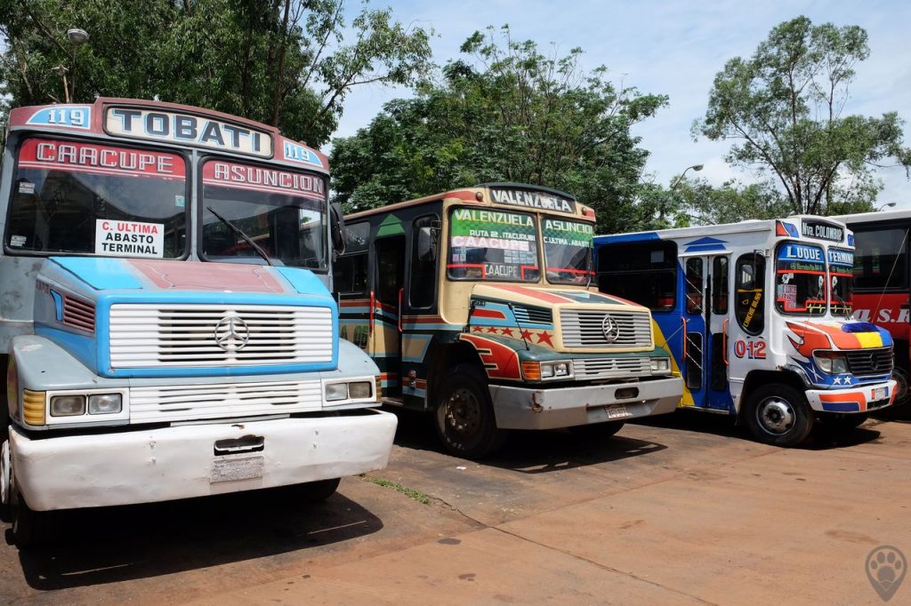Парагвайский автобус