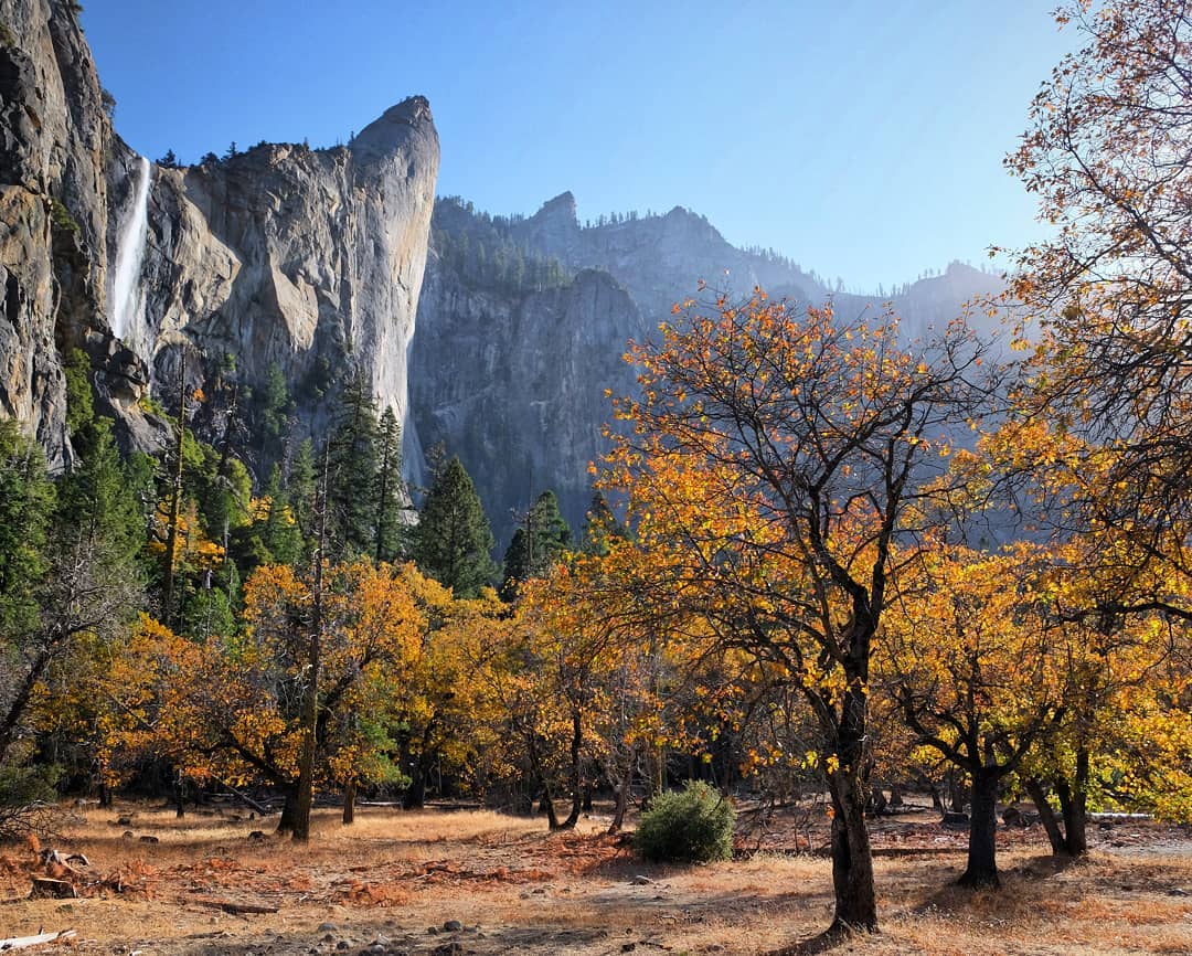 После невероятно тихого леса секвой, Йосемити действительно…