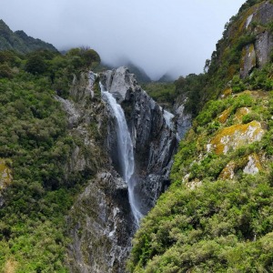 Новозеландские леса — это что-то невообразимое и неземное….